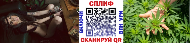 МЕФ Моршанск