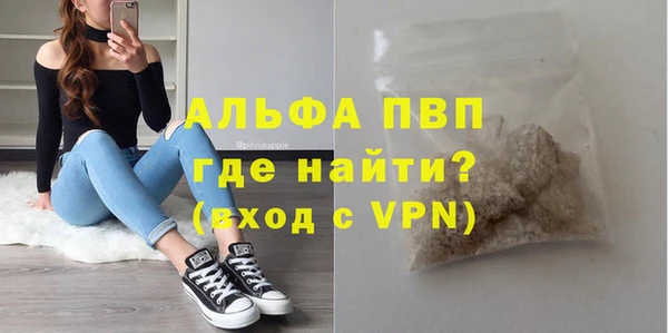 СК Новозыбков