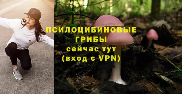 дурь Абдулино