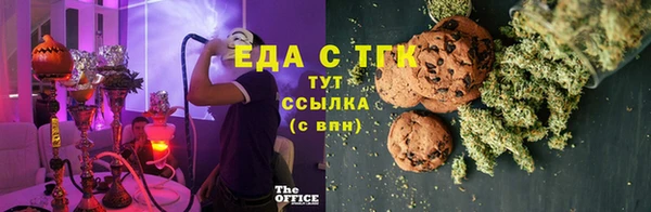 СК Новозыбков