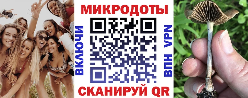 Галлюциногенные грибы GOLDEN TEACHER KRAKEN ТОР Моршанск
