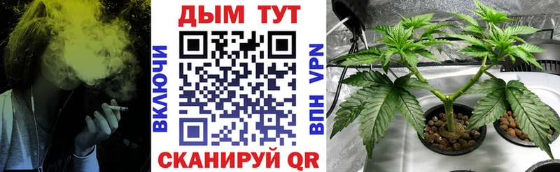 kraken как зайти  Моршанск  Конопля Amnesia 
